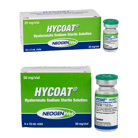 Hyaluronic acid for Wound and Joint Care